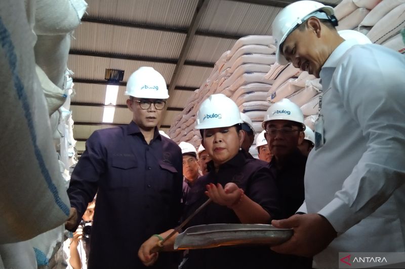 ketahanan pangan terjaga dpr ri desak bulog batasi penyimpanan beras maksimal 6 bulan demi kualitas optimal index
