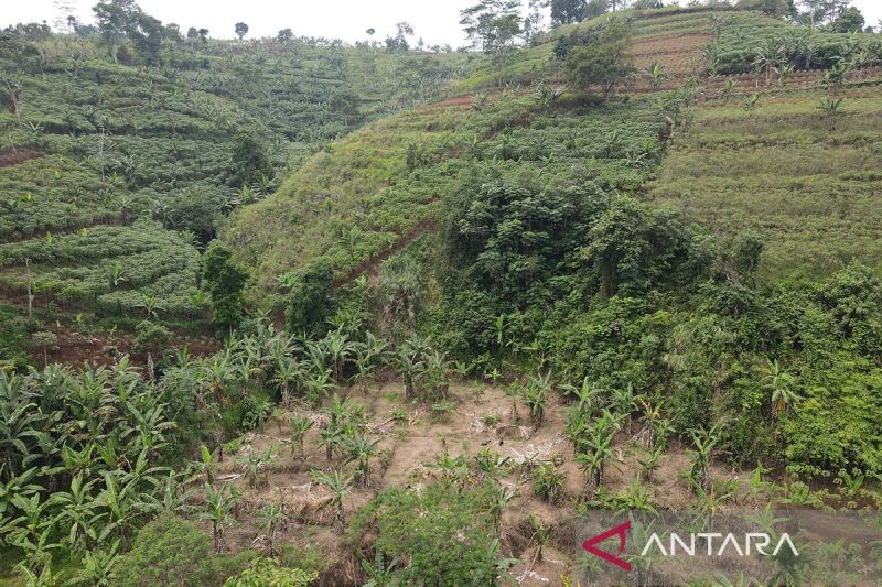 pemerintah dan ki perluas restorasi das sekitar desa penyangga tnggp index