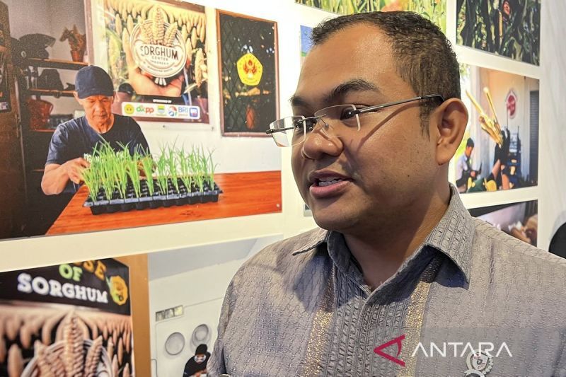 revolusi bumn perampingan besar besaran guna dongkrak efisiensi dan profitabilitas nasional index