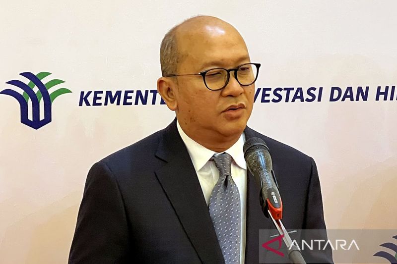 rosan ekspatriat di garuda untuk perkuat transformasi dan teknologi index