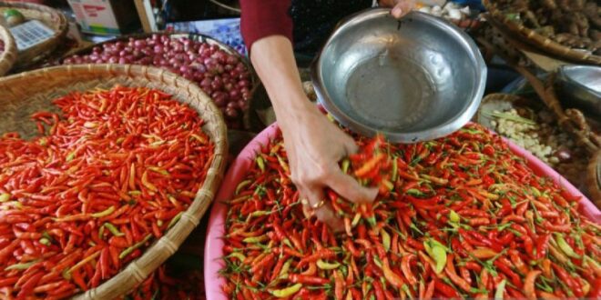 bapanas harga cabai rawit rp70 534 kg bawang merah rp46 516 kg index