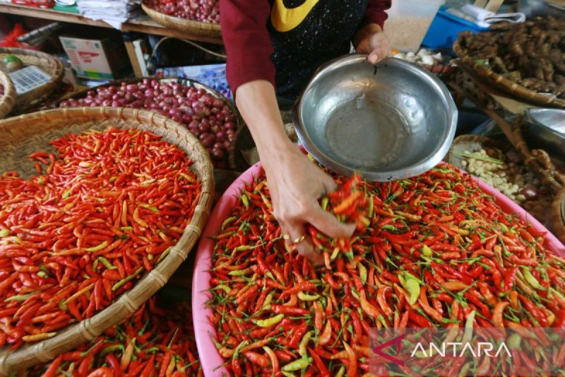 bapanas harga cabai rawit rp70 534 kg bawang merah rp46 516 kg index
