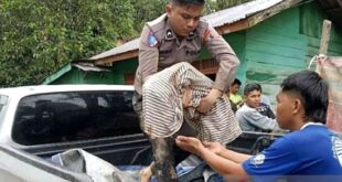 duka mendalam sumatera utara korban jiwa bencana alam melonjak menjadi 355 fokus penanganan darurat diperkuat index