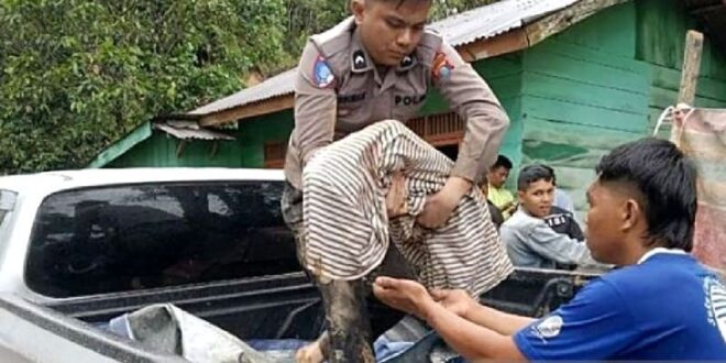duka mendalam sumatera utara korban jiwa bencana alam melonjak menjadi 355 fokus penanganan darurat diperkuat index