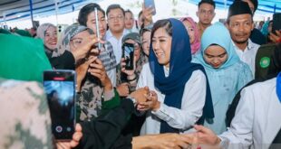 kemkomdigi salurkan 65 ton paket sembako di deli serdang index