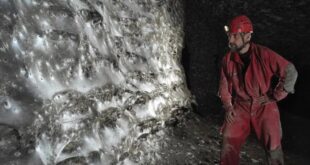 megah dan mengerikan sarang laba laba terbesar di dunia ditemukan membentang 106 meter di bawah tanah index