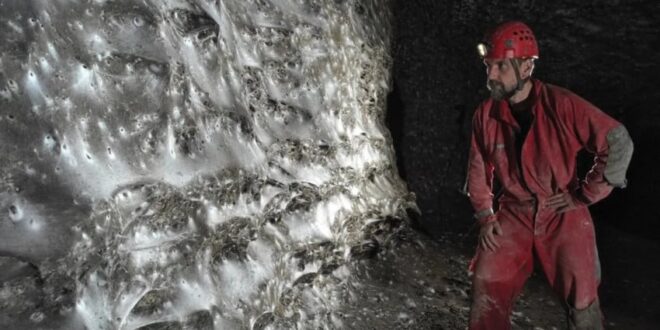 megah dan mengerikan sarang laba laba terbesar di dunia ditemukan membentang 106 meter di bawah tanah index