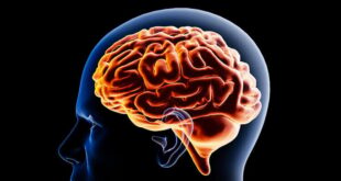 new york akan wajibkan peringatan kesehatan mental untuk semua platform sosmed index