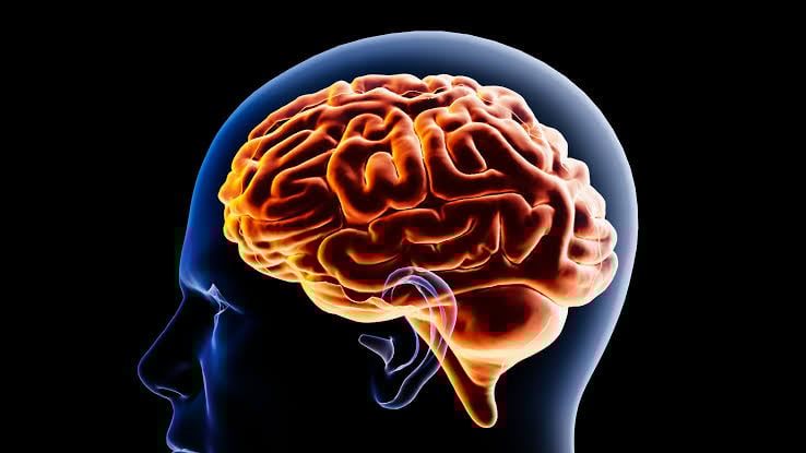 new york akan wajibkan peringatan kesehatan mental untuk semua platform sosmed index