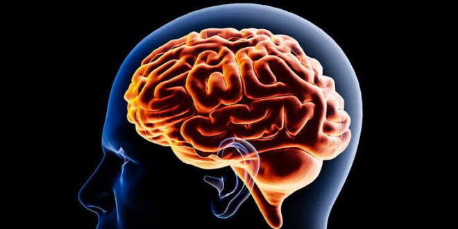 norwegia kenalkan tes darah untuk deteksi perubahan otak terkait alzheimer index