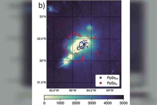 penemuan struktur raksasa misterius di segitiga bermuda jadi teka teki terbaru index