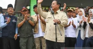 prabowo pemerintah sudah mulai tertibkan pembalakan liar index