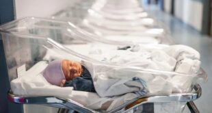 punya 100 anak belum cukup miliarder china xu bo incar bibit unggul amerika untuk teruskan imperium bisnisnya index