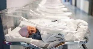 punya 100 anak belum cukup miliarder china xu bo incar bibit unggul amerika untuk teruskan imperium bisnisnya index