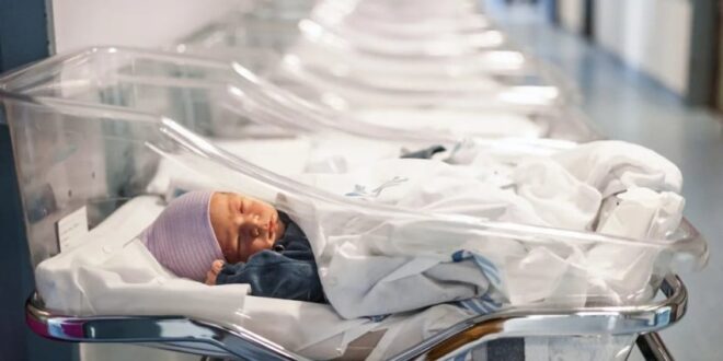 punya 100 anak belum cukup miliarder china xu bo incar bibit unggul amerika untuk teruskan imperium bisnisnya index