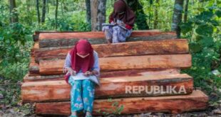 ribuan desa belum terkoneksi internet pemerintah luncurkan program kampung internet index 2