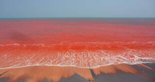 teliti tempat nabi musa membelah lautan fakta di luar nalar ini terungkap index