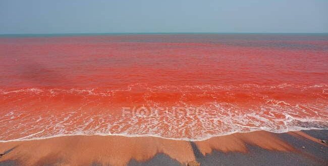 teliti tempat nabi musa membelah lautan fakta di luar nalar ini terungkap index