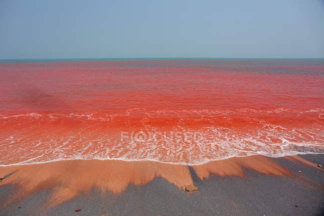 teliti tempat nabi musa membelah lautan fakta di luar nalar ini terungkap index