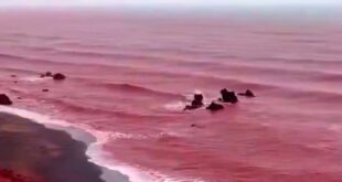 warna laut teluk persia berubah jadi merah darah index
