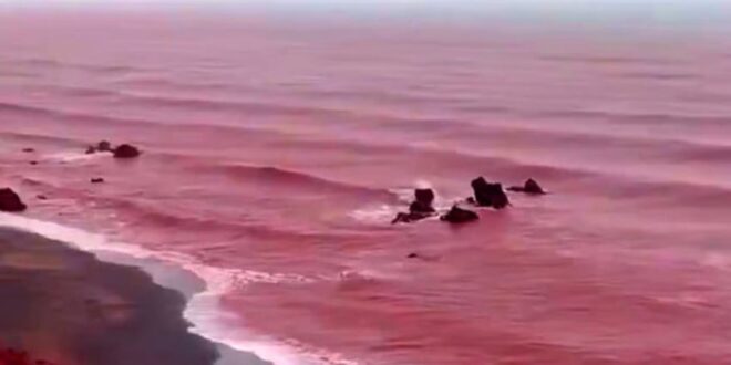 warna laut teluk persia berubah jadi merah darah index