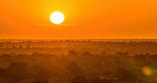 amazon berubah menjadi kondisi hipertropis yang belum pernah terjadi selama ini index