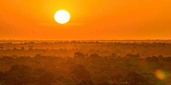 amazon berubah menjadi kondisi hipertropis yang belum pernah terjadi selama ini index