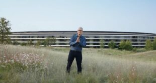 apple ceo tim cook responds after ice shootings in minneapolis index