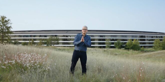 apple ceo tim cook responds after ice shootings in minneapolis index