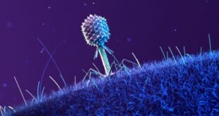 bukti keberadaan makhluk luar angkasa yang tak terbantahkan index