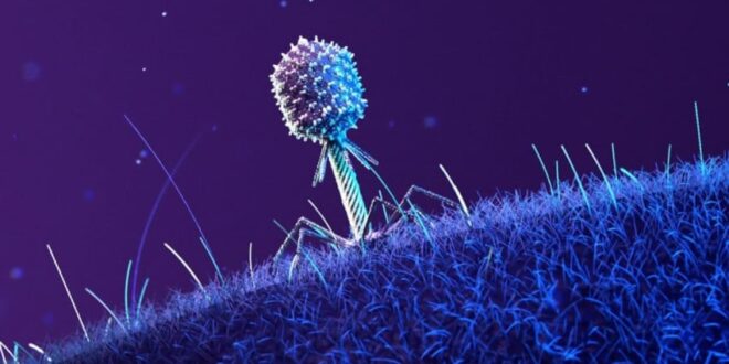 bukti keberadaan makhluk luar angkasa yang tak terbantahkan index