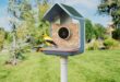 ces 2026 birdbuddy debuts new smart bird feeders index