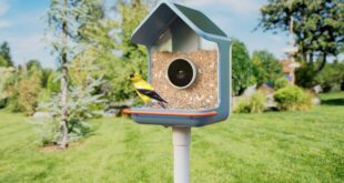 ces 2026 birdbuddy debuts new smart bird feeders index