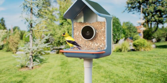 ces 2026 birdbuddy debuts new smart bird feeders index