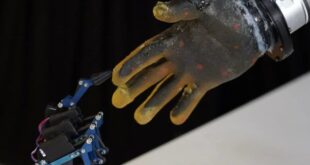 china ciptakan kulit buatan supaya robot bisa merasakan nyeri dan kesakitan index