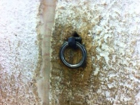 dipercaya bekas besi pengikatnya benarkah buraq seperti kuda putih bersayap index