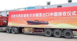 durian beku indonesia resmi masuk pasar china index