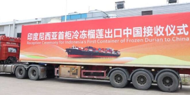 durian beku indonesia resmi masuk pasar china index