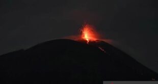 gunung ile lewotolok di lembata berstatus siaga peningkatan drastis aktivitas vulkanik memicu kewaspadaan nasional index