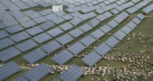 keajaiban tibet ribuan panel surya ubah tanah mati jadi subur kok bisa index