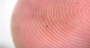 lebih kecil dari butiran nasi robot otonom ini mampu berenang dalam tubuh manusia index