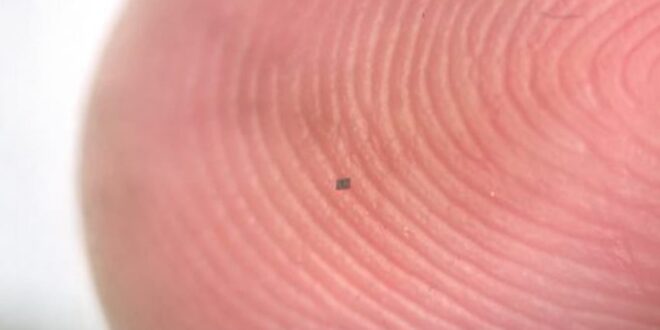 lebih kecil dari butiran nasi robot otonom ini mampu berenang dalam tubuh manusia index