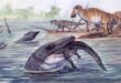 mosasaurus dinosaurus yang mencari mangsa di sungai dan laut index