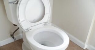 revolusi kamar mandi toilet pintar jepang hadirkan diagnosis kesehatan dini melalui analisis tinja cerdas index