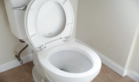 revolusi kamar mandi toilet pintar jepang hadirkan diagnosis kesehatan dini melalui analisis tinja cerdas index