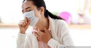waspada superflu h3n2 mengenal virus influenza a subtipe k gejala dan strategi pencegahan efektif index