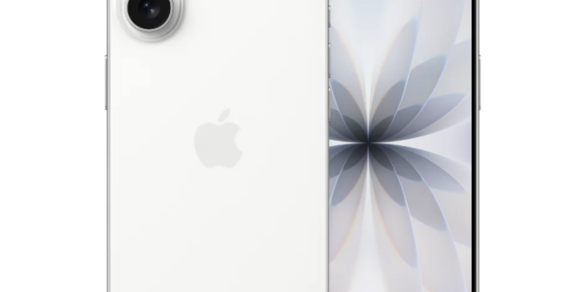 Screenshot 2026 02 08 at 08.01.42