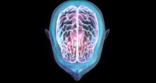 penelitian temukan fakta penerbangan ke luar angkasa mengubah posisi otak index