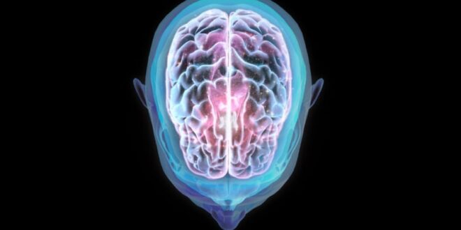 penelitian temukan fakta penerbangan ke luar angkasa mengubah posisi otak index