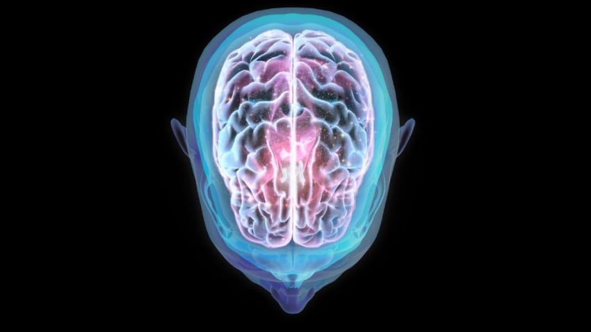 penelitian temukan fakta penerbangan ke luar angkasa mengubah posisi otak index